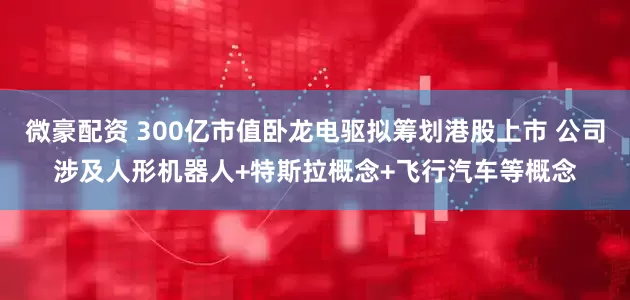 微豪配资 300亿市值卧龙电驱拟筹划港股上市 公司涉及人形机器人+特斯拉概念+飞行汽车等概念