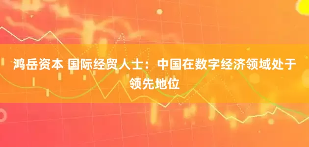 鸿岳资本 国际经贸人士：中国在数字经济领域处于领先地位