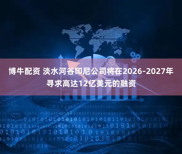 博牛配资 淡水河谷印尼公司将在2026-2027年寻求高达12亿美元的融资