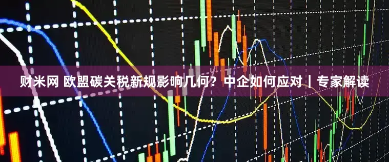财米网 欧盟碳关税新规影响几何？中企如何应对｜专家解读